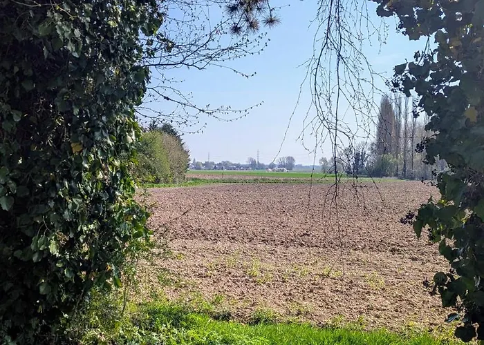 بيت للعطل Tiny Tranquille